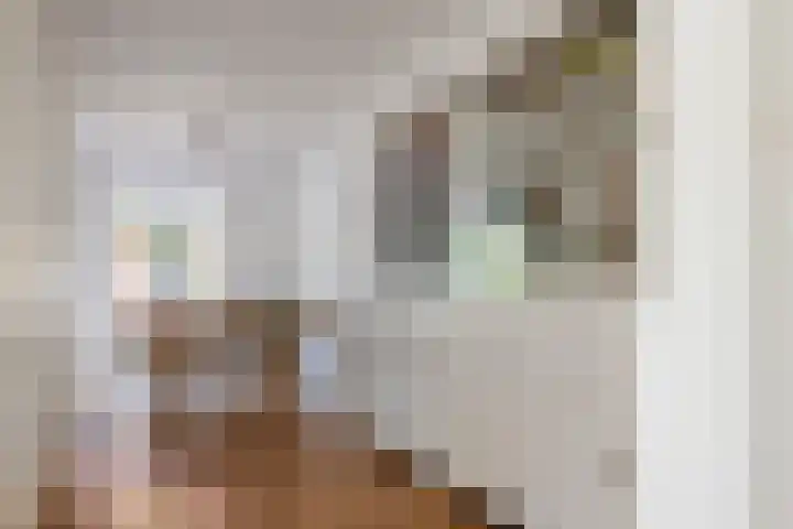 Alladinstraat 12 Druten thumbnail 10