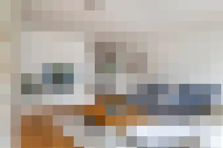 Alladinstraat 12 Druten thumbnail 12