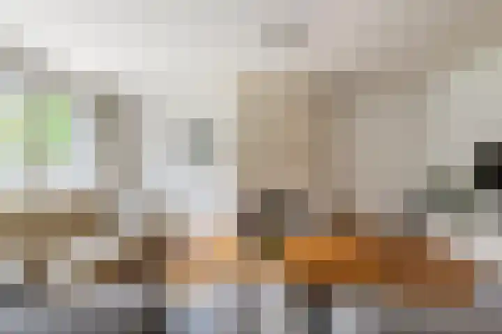 Alladinstraat 12 Druten thumbnail 13