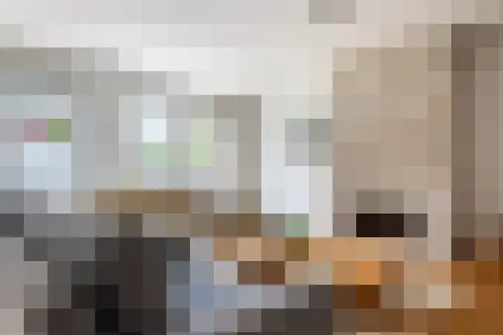 Alladinstraat 12 Druten thumbnail 14