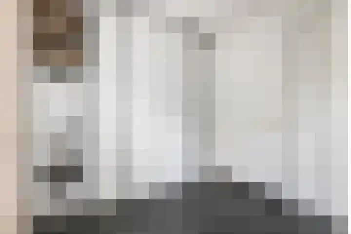 Alladinstraat 12 Druten thumbnail 16