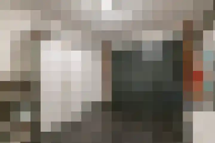 Alladinstraat 12 Druten thumbnail 17