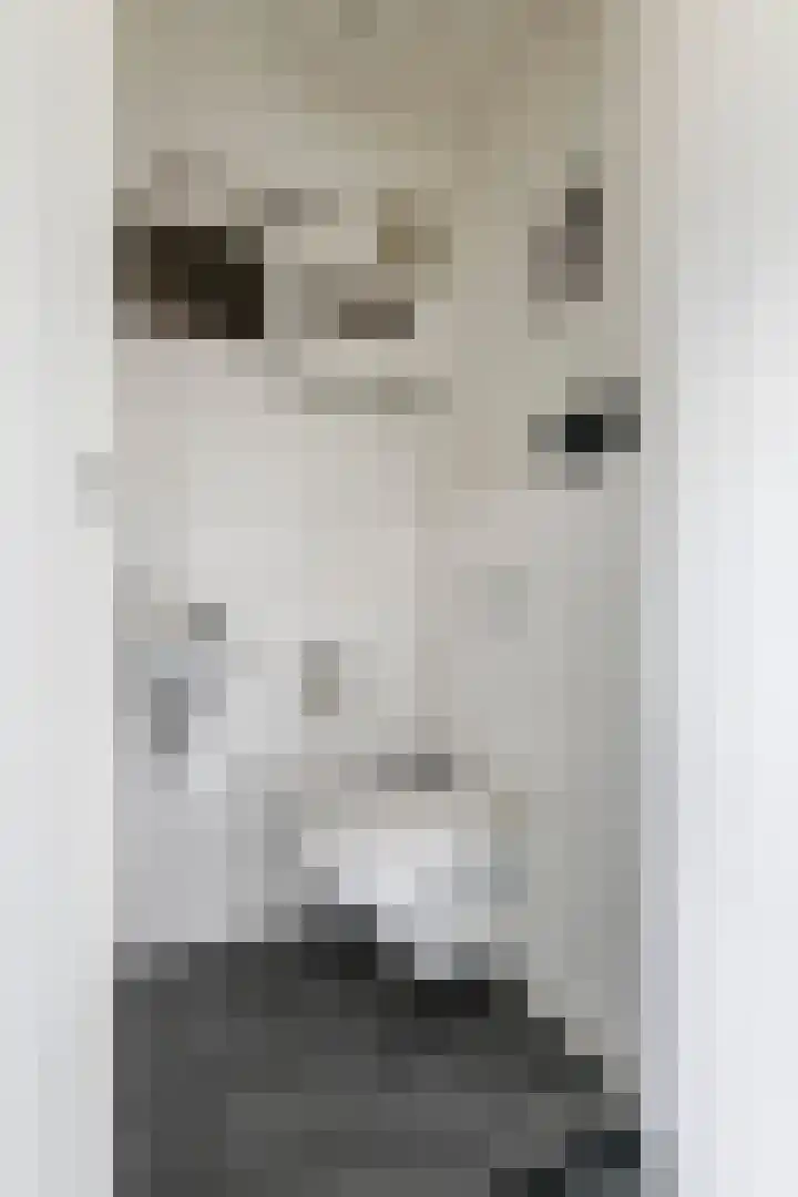 Alladinstraat 12 Druten thumbnail 18