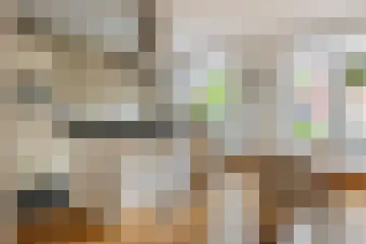 Alladinstraat 12 Druten foto 2