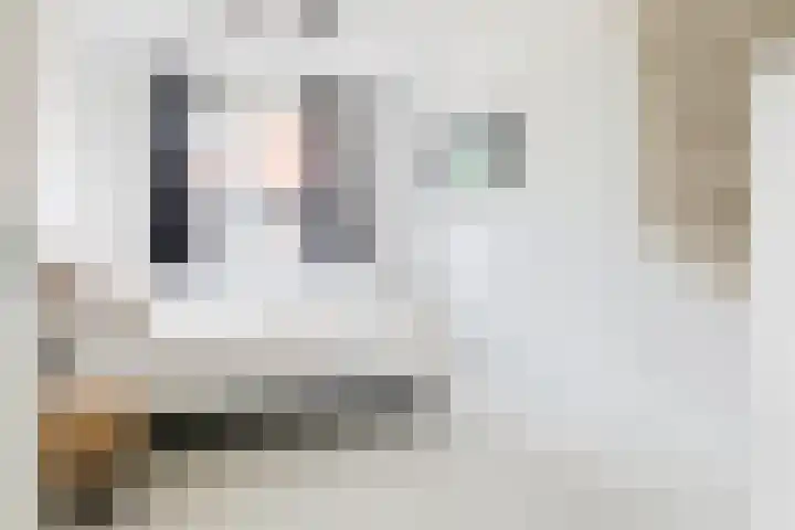Alladinstraat 12 Druten thumbnail 20