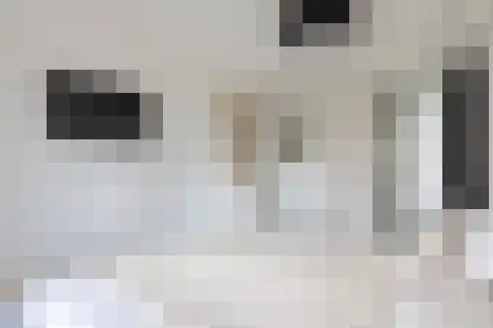 Alladinstraat 12 Druten thumbnail 22