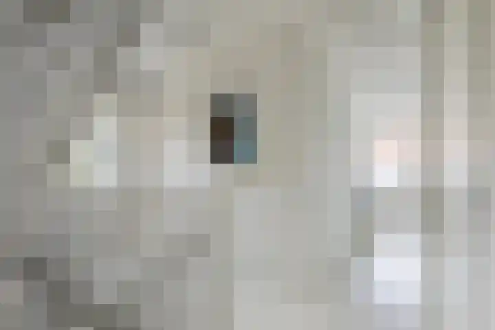 Alladinstraat 12 Druten thumbnail 25