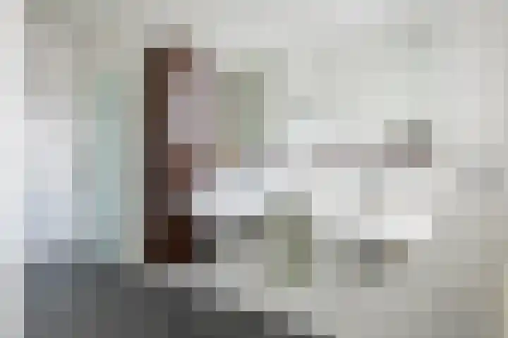 Alladinstraat 12 Druten thumbnail 29