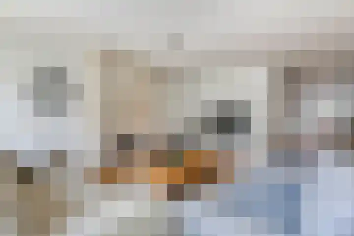 Alladinstraat 12 Druten foto 3