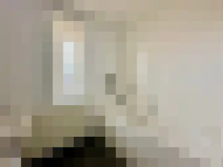 Alladinstraat 12 Druten thumbnail 30