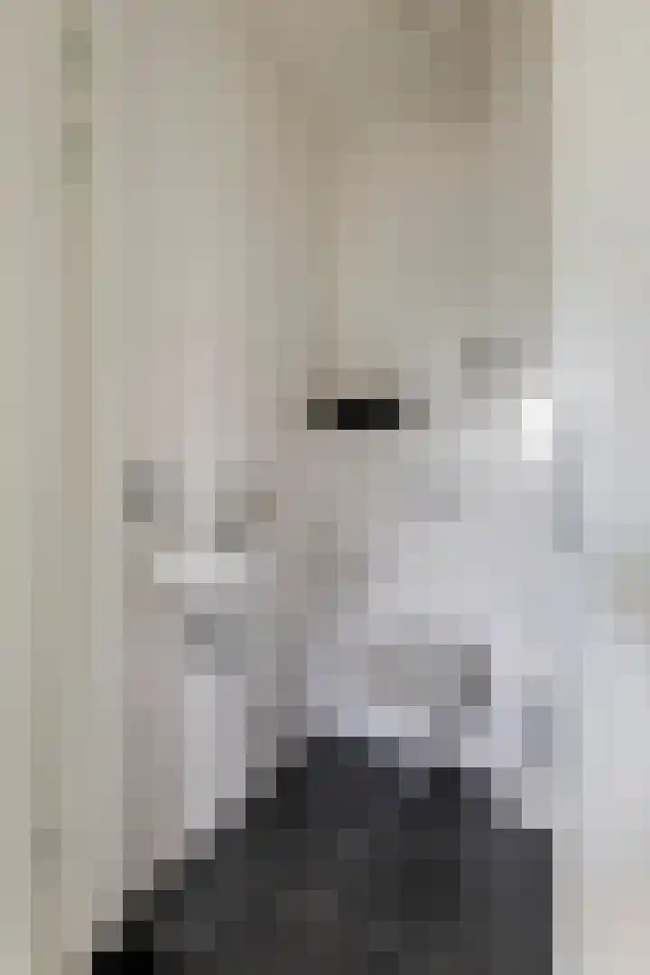 Alladinstraat 12 Druten thumbnail 31