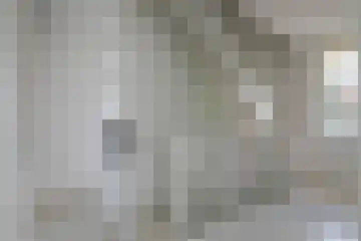 Alladinstraat 12 Druten thumbnail 32