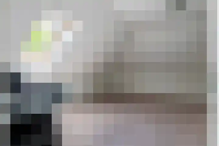 Alladinstraat 12 Druten thumbnail 33