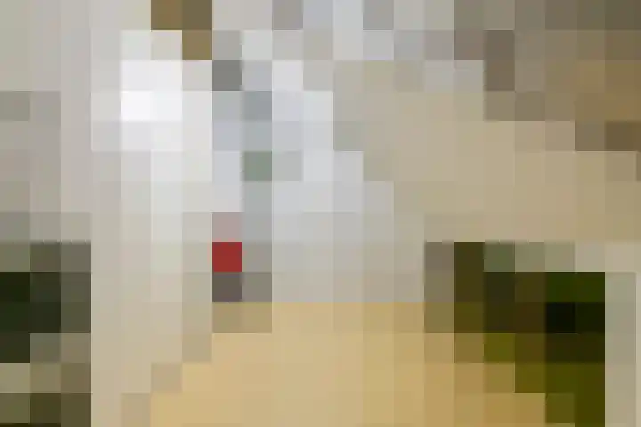 Alladinstraat 12 Druten thumbnail 35