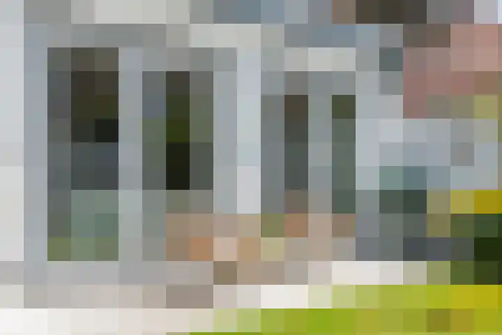 Alladinstraat 12 Druten thumbnail 37