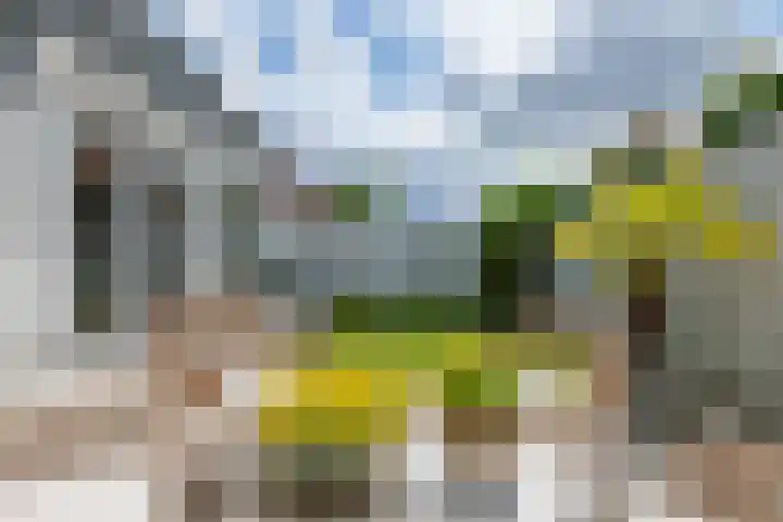 Alladinstraat 12 Druten thumbnail 39