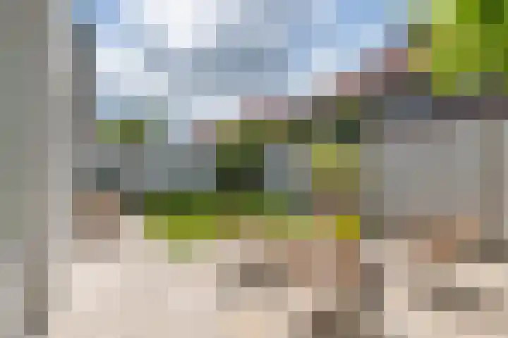 Alladinstraat 12 Druten thumbnail 40