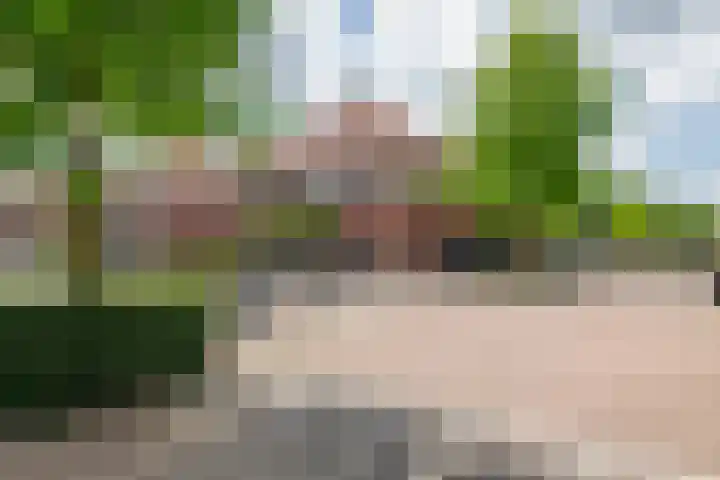 Alladinstraat 12 Druten thumbnail 41