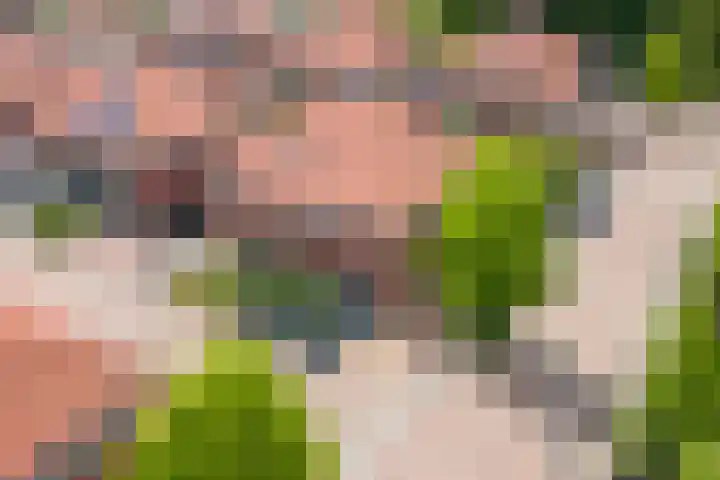 Alladinstraat 12 Druten thumbnail 42