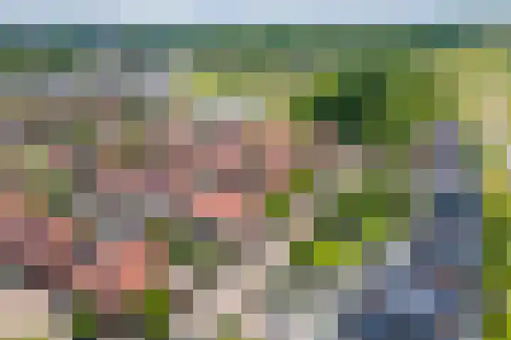 Alladinstraat 12 Druten thumbnail 43
