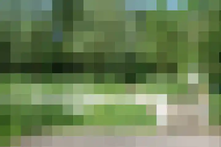 Alladinstraat 12 Druten thumbnail 44