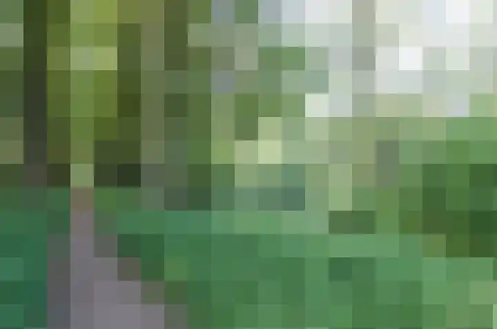 Alladinstraat 12 Druten thumbnail 45