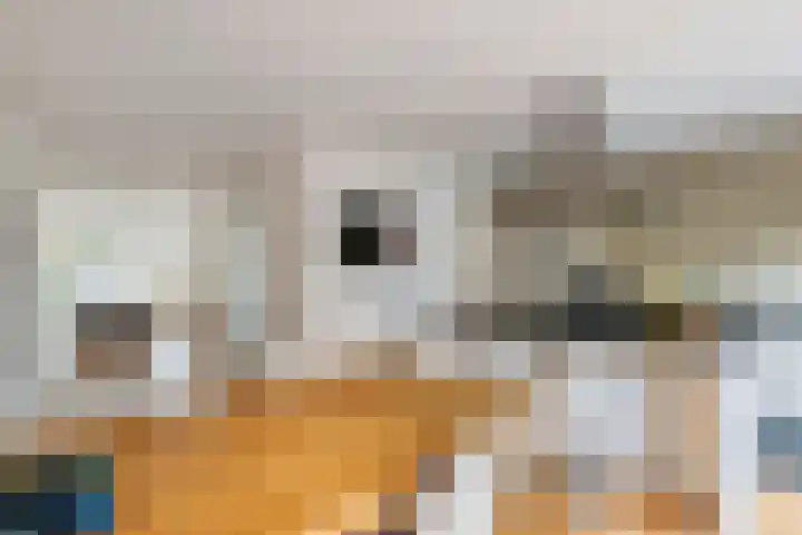 Alladinstraat 12 Druten thumbnail 5