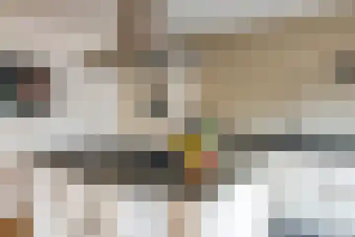 Alladinstraat 12 Druten thumbnail 6