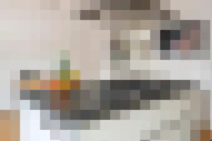 Alladinstraat 12 Druten thumbnail 7