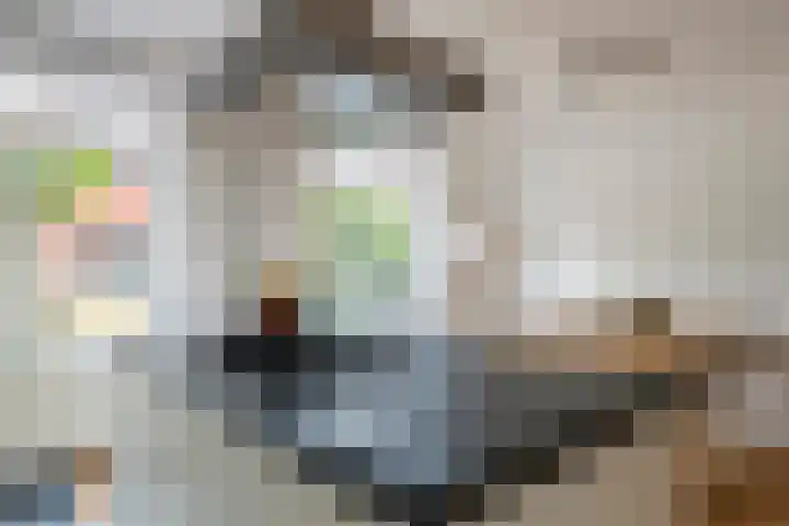 Alladinstraat 12 Druten thumbnail 8