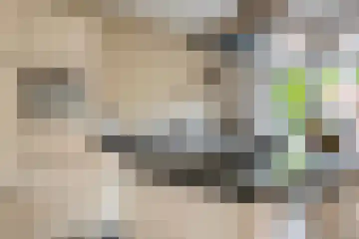 Alladinstraat 12 Druten thumbnail 9