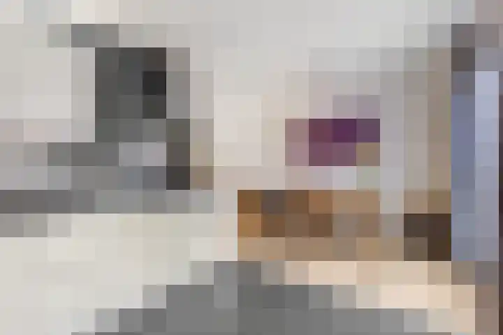 Alladinstraat 8 Druten thumbnail 11