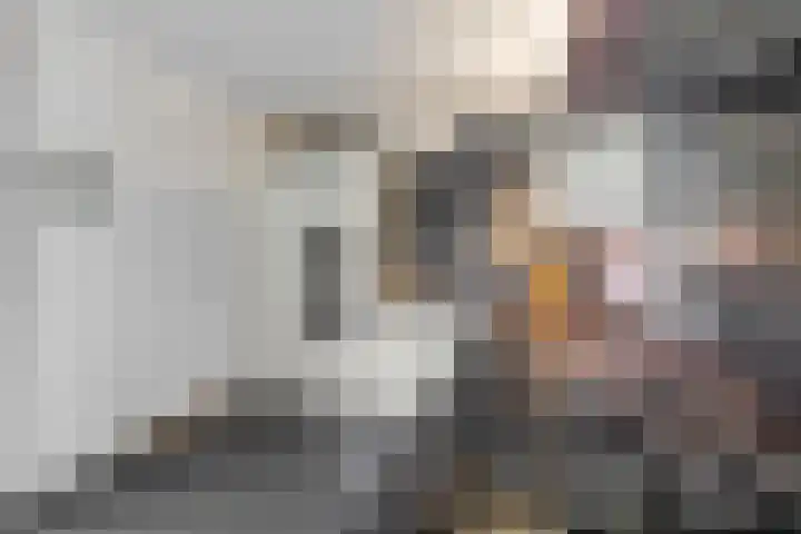 Alladinstraat 8 Druten thumbnail 13