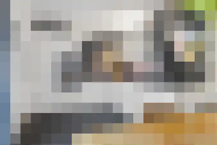 Alladinstraat 8 Druten foto 2
