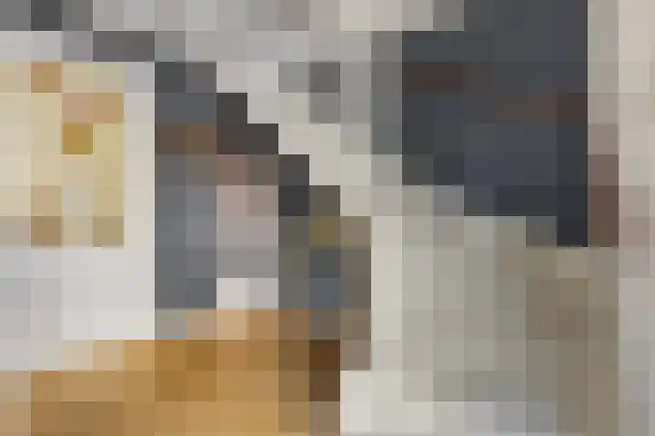 Alladinstraat 8 Druten thumbnail 20