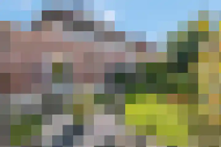Alladinstraat 8 Druten thumbnail 22