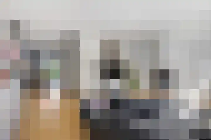Alladinstraat 8 Druten foto 3