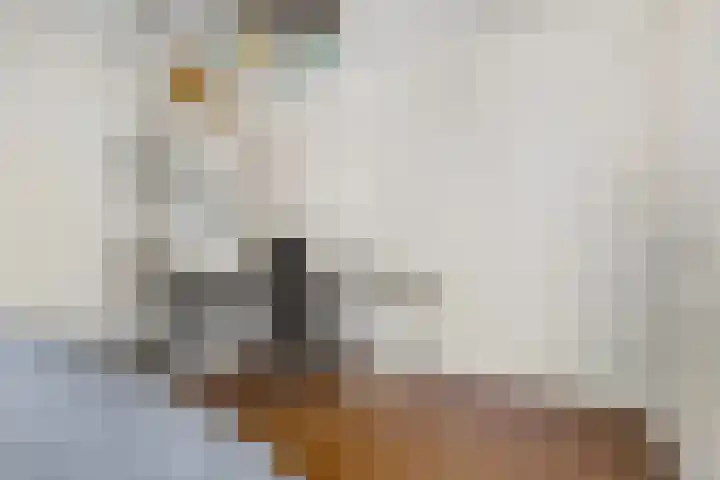 Alladinstraat 8 Druten thumbnail 30