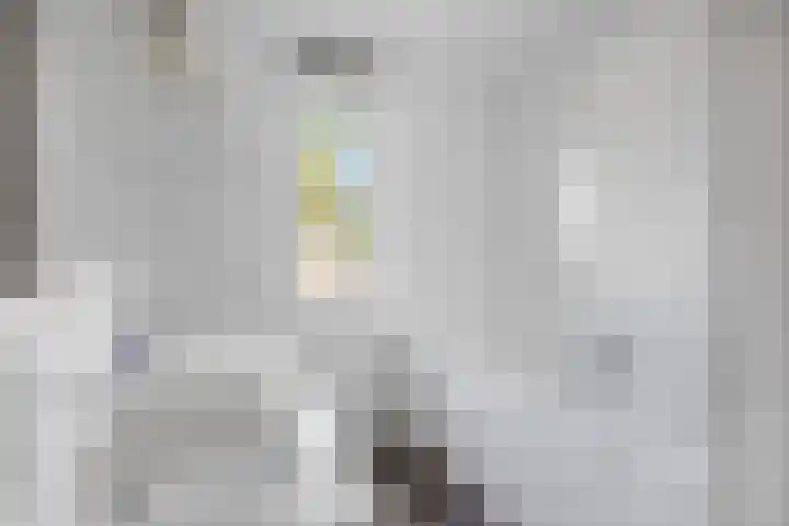 Alladinstraat 8 Druten thumbnail 31