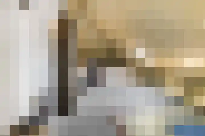 Alladinstraat 8 Druten thumbnail 36