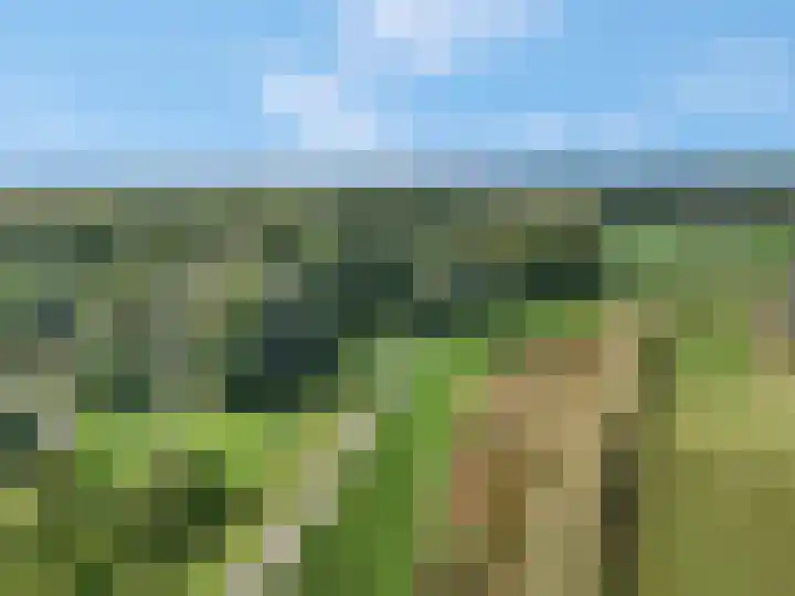 Alladinstraat 8 Druten thumbnail 40