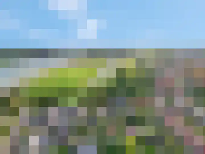 Alladinstraat 8 Druten thumbnail 41