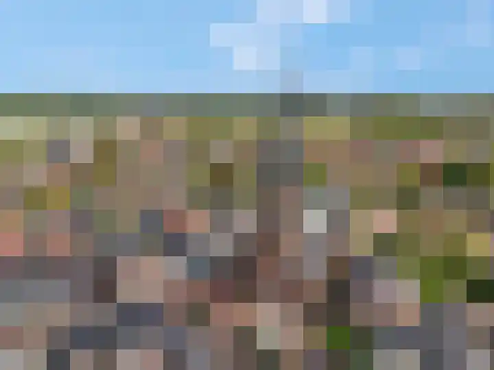 Alladinstraat 8 Druten thumbnail 42
