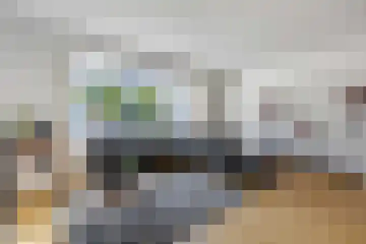 Alladinstraat 8 Druten thumbnail 5