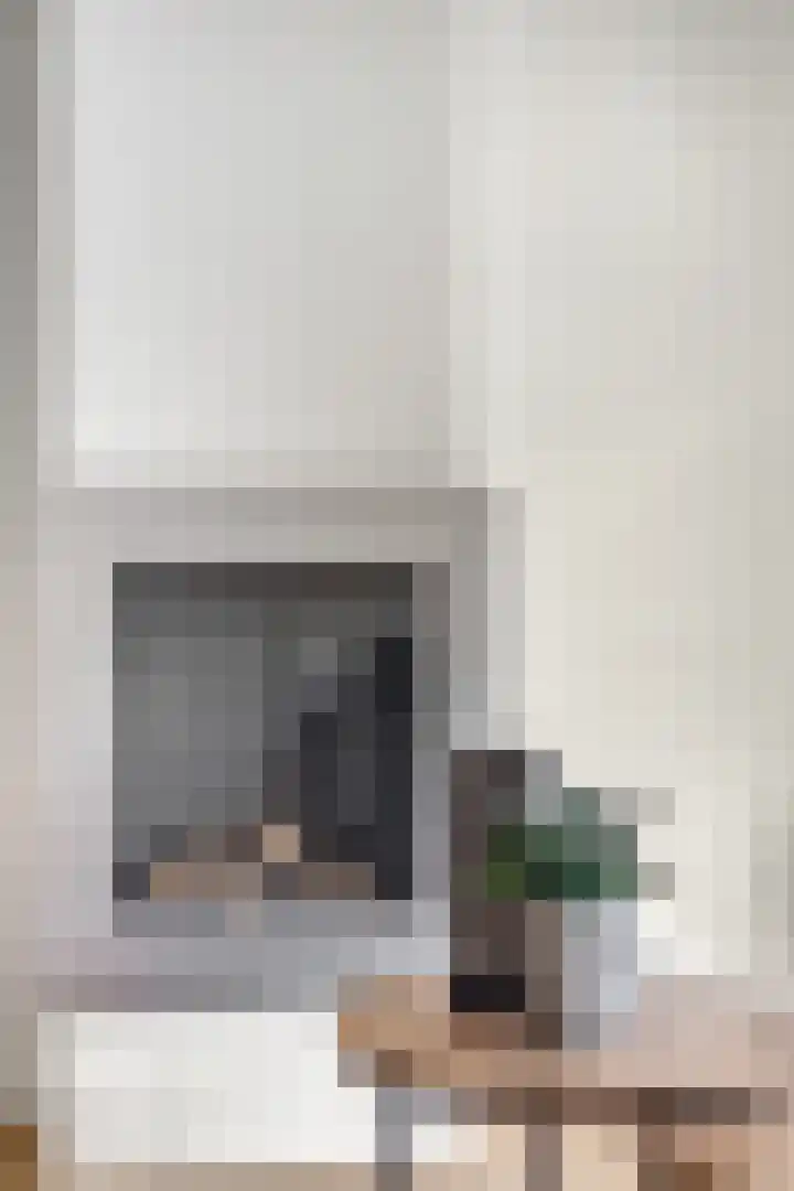 Alladinstraat 8 Druten thumbnail 6