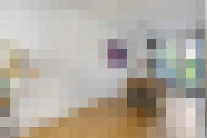Alladinstraat 8 Druten thumbnail 7