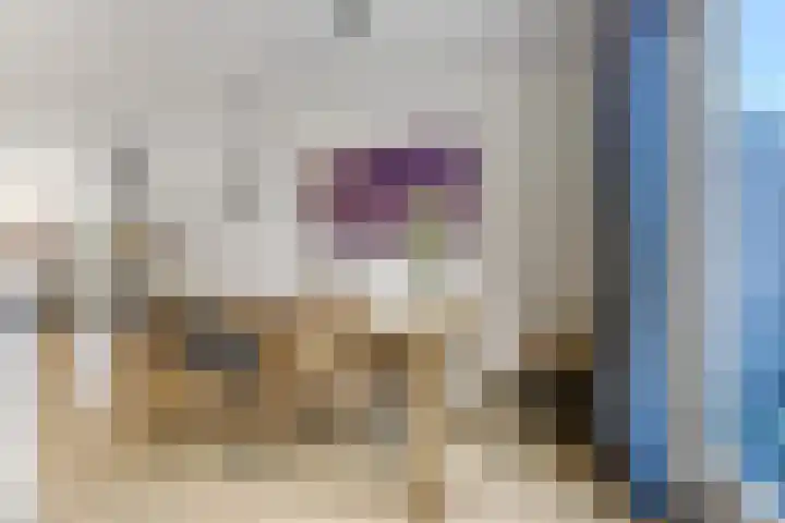 Alladinstraat 8 Druten thumbnail 8