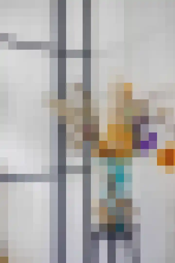 Alladinstraat 8 Druten thumbnail 9