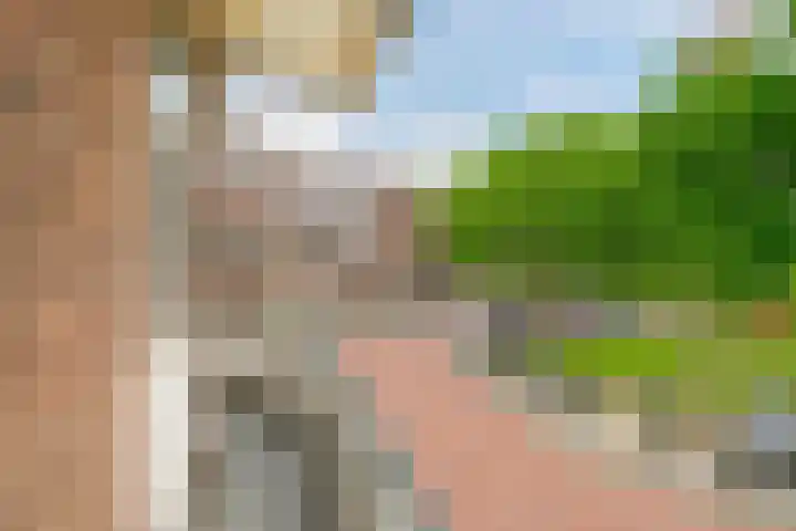 Allard Piersonlaan 11 Den Haag thumbnail 15