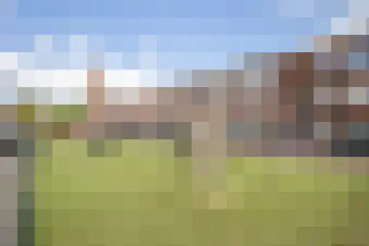 Allard Piersonlaan 11 Den Haag thumbnail 26